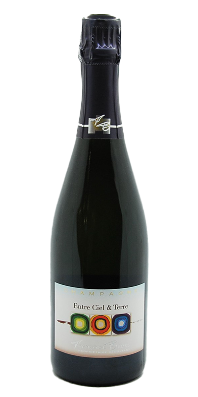 Image of AOP Champagne Entre ciel et terre