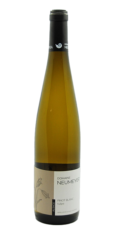 Image of AOP Alsace Pinot blanc Tulipe